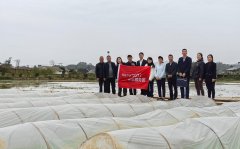 <strong>自贡市荣县不雅山镇解锁春耕新模式 水稻</strong>